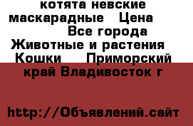 котята невские маскарадные › Цена ­ 18 000 - Все города Животные и растения » Кошки   . Приморский край,Владивосток г.